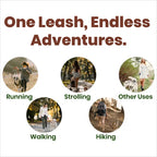 Hands-Free Dog Leash