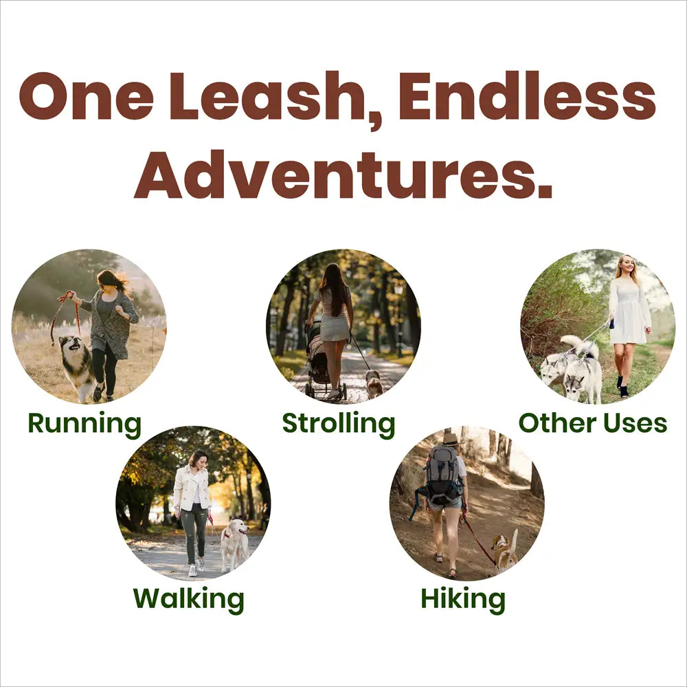 Hands-Free Dog Leash