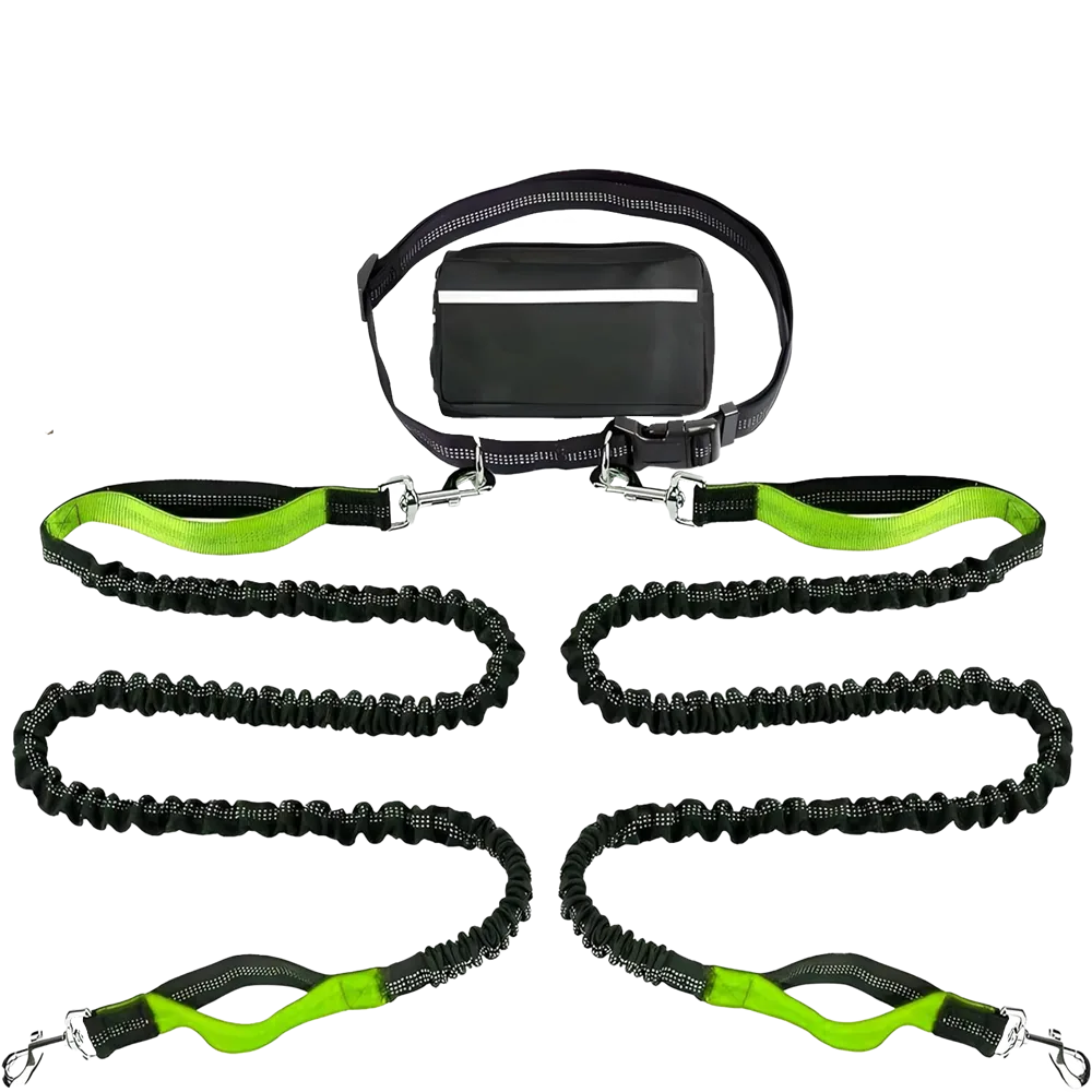 Hands-Free Dog Leash