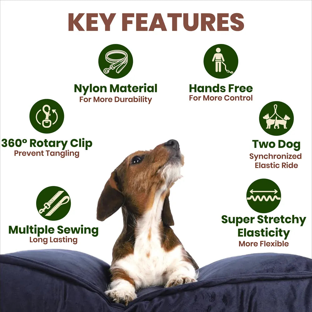Hands-Free Dog Leash