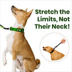 Hands-Free Dog Leash