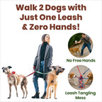 Hands-Free Dog Leash