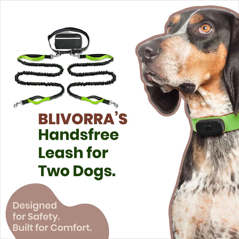Hands-Free Dog Leash